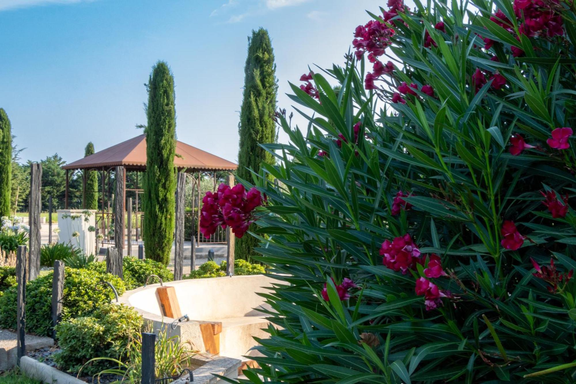 Mas Le 7 Bed & Breakfast Saint-Andiol ภายนอก รูปภาพ